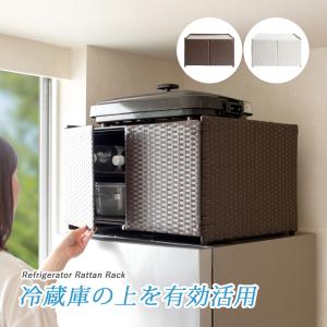 dinos ディノス 光沢仕上げ・冷蔵庫上ストッカー 幅57cm（脚部59cm） 光沢仕上げ・冷蔵庫上ストッカー 幅57cm（脚部59cm） 通販