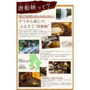 唐船峡 めんつゆ 名門の粋 500ml 15本...の詳細画像3