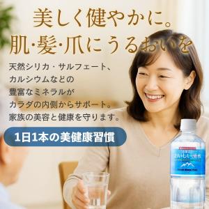 シリカ水 シリカ85 mg/L 霧島湧水 志布...の詳細画像3