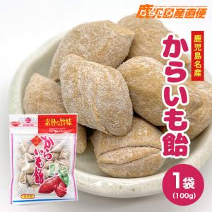 冨士屋あめ  からいも飴 100g 九州  鹿児島名産｜kago-cyoku