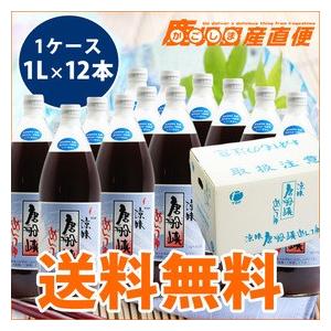 【ボーナスストア +5% 5月3・5・7日対象】 唐船峡  めんつゆ 1L 12本 麺つゆ  九州 ...