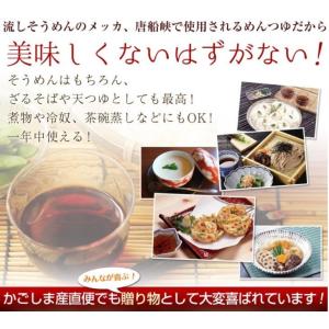 唐船峡 めんつゆ 1L 12本 麺つゆ 九州 ...の詳細画像4