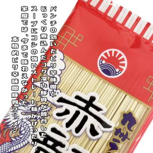 日の出製粉 九州ラーメン 赤龍 辛子みそ味の詳細画像1