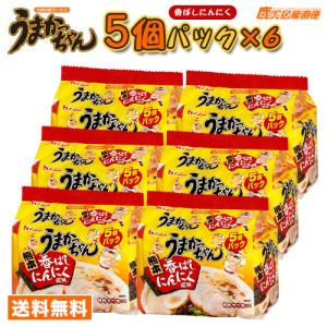 ラーメン うまかっちゃん 熊本 香ばしニンニク風味 1ケース30食 ハウス食品
