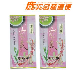 厚石園  深蒸し煎茶  みなみの風 2袋 200g(100g×2袋) ギフト箱入り 鹿児島県産 お茶 蔵出し｜kago-cyoku