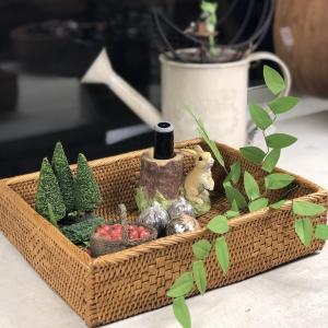 大きなアタかご蓋つき 182_thumbnail.jpg