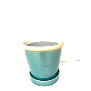 陶器鉢 万華鏡ブラック : 花郷園 KAGOEN NURSERY - 通販 - Yahoo