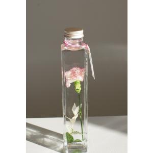 花咲くハーバリウム シクラメン 502 : 花郷園 KAGOEN NURSERY - 通販