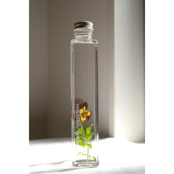 花咲くハーバリウム　ビオラ　105