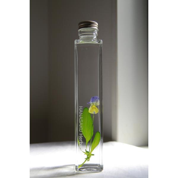 花咲くハーバリウム　ビオラ　107