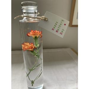 花咲くハーバリウム　カーネーション　カリンボ　117