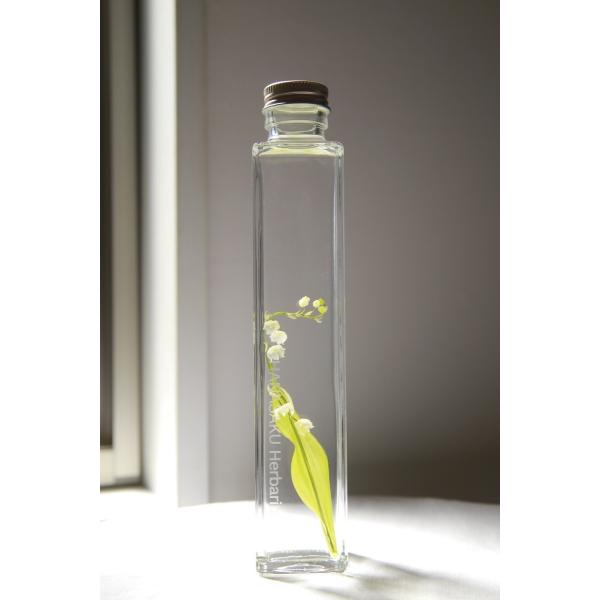 花咲くハーバリウム　ミュゲ　スズラン