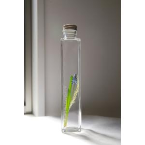 花咲くハーバリウム　ムスカリ