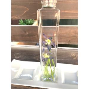 ハーバリウム 花咲くハーバリウム シクラメン 502 : 花郷園 KAGOEN NURSERY - 通販