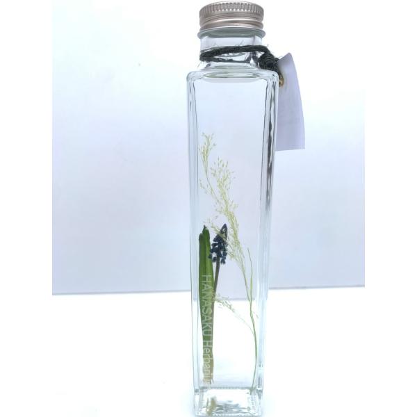 花咲くハーバリウム　ムスカリ 504