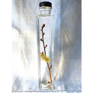 花咲くハーバリウム　トサミズキ 505