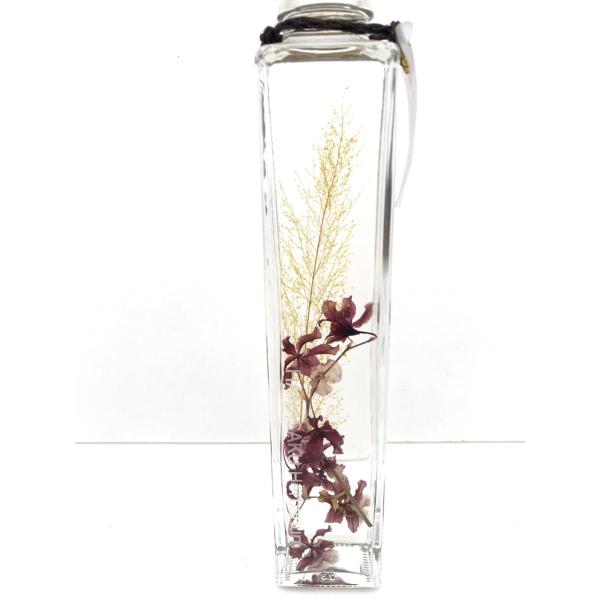 花咲くハーバリウム　オンシジューム　シャリーベイビー 507