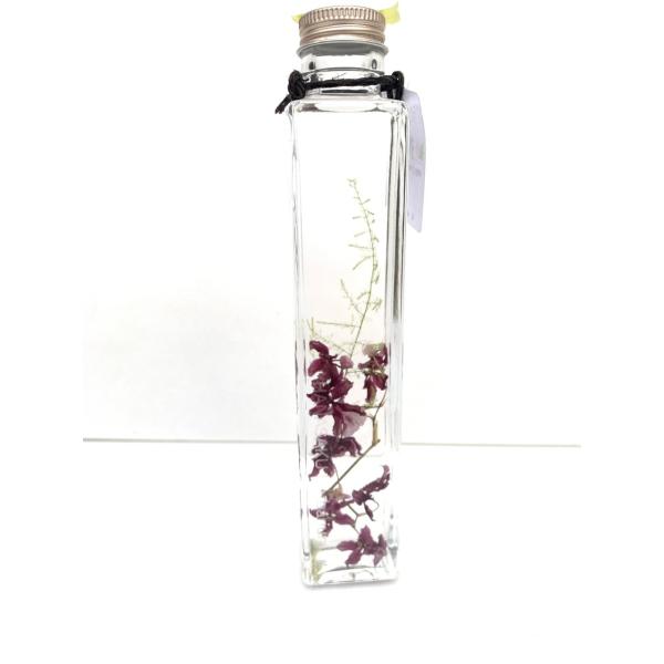 花咲くハーバリウム　オンシジューム　シャリーベイビー 509