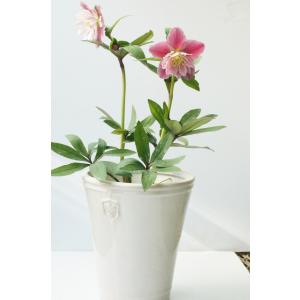 陶器鉢 植木鉢 【白/Mサイズ 5号】 Ros...の詳細画像1