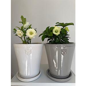 陶器鉢 植木鉢 【白/Mサイズ 5号】 Ros...の詳細画像3
