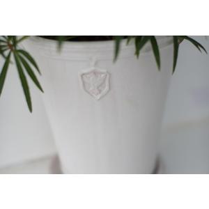 陶器鉢 植木鉢 【白/Mサイズ 5号】 Ros...の詳細画像5