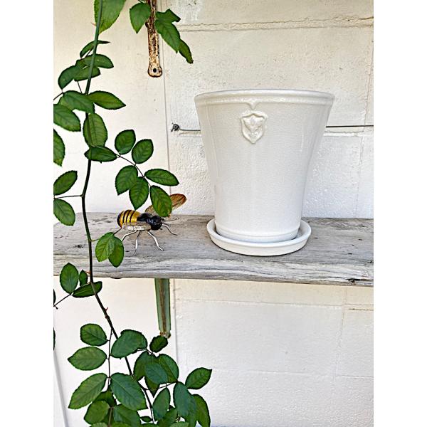 陶器鉢 植木鉢 【白/Lサイズ ７号】 Rose de Noel Parfaite クリスマスローズ...