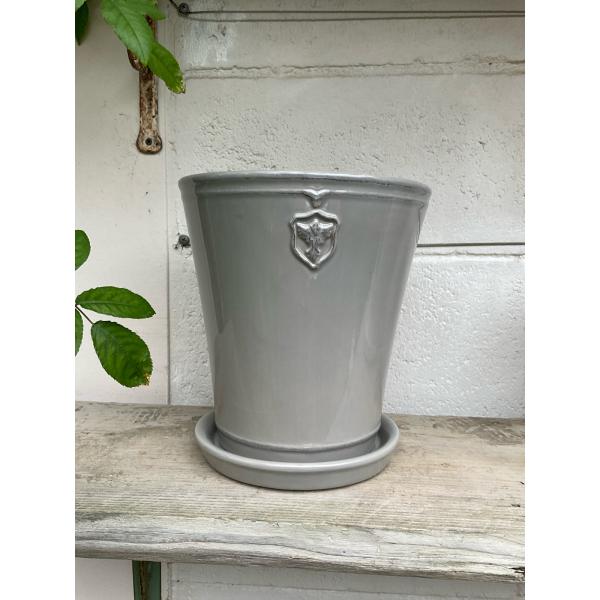 陶器鉢 植木鉢 【グレー/Lサイズ ７号】 Rose de Noel Parfaite クリスマスロ...