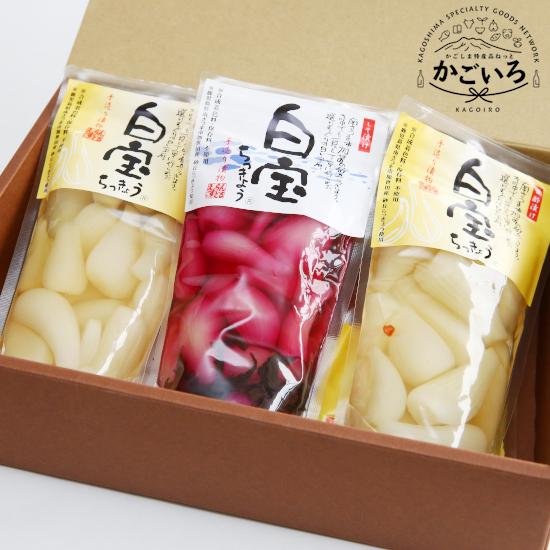 砂丘 白宝らっきょう６点セット＜エスランドル＞