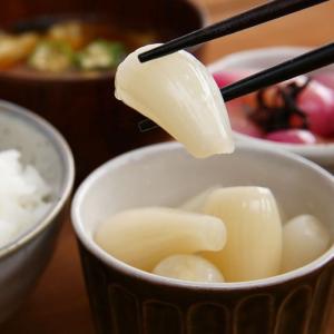 砂丘 白宝らっきょう6点セット<エスランドル>の詳細画像1