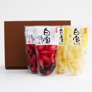 砂丘 白宝らっきょう6点セット<エスランドル>の詳細画像3