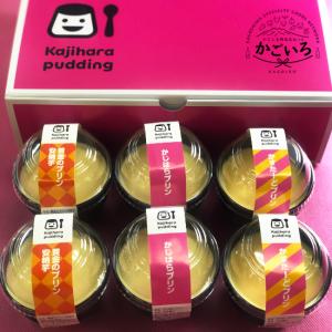クラフトビール6本セット＜MAGMABREWING＞ : かごしま特産品ねっと