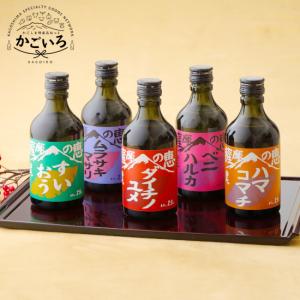 クラフトビール6本セット＜MAGMABREWING＞ : かごしま特産品ねっと