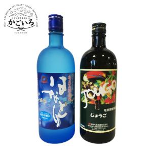 クラフトビール6本セット＜MAGMABREWING＞ : かごしま特産品ねっと