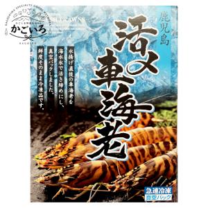 活き〆冷凍車海老Lサイズ（加熱用）＜車海老日本＞