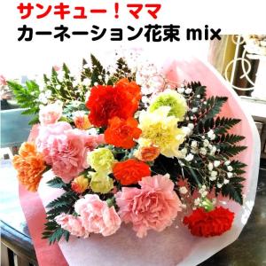 ＼5月22日以降お届け／母の日ギフト カーネーション 花束 サンキューママ