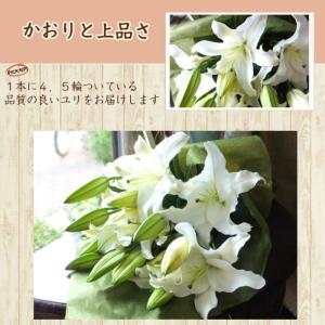 白ユリ 花束 お供え お悔やみ 法要 49日 ...の詳細画像1