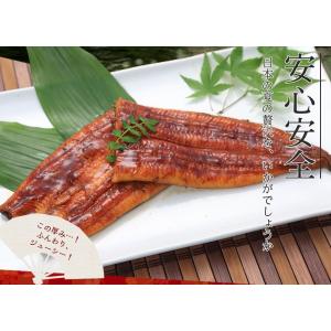 鹿児島 うなぎ 大隅産 鰻の蒲焼き 特大肉厚で...の詳細画像1