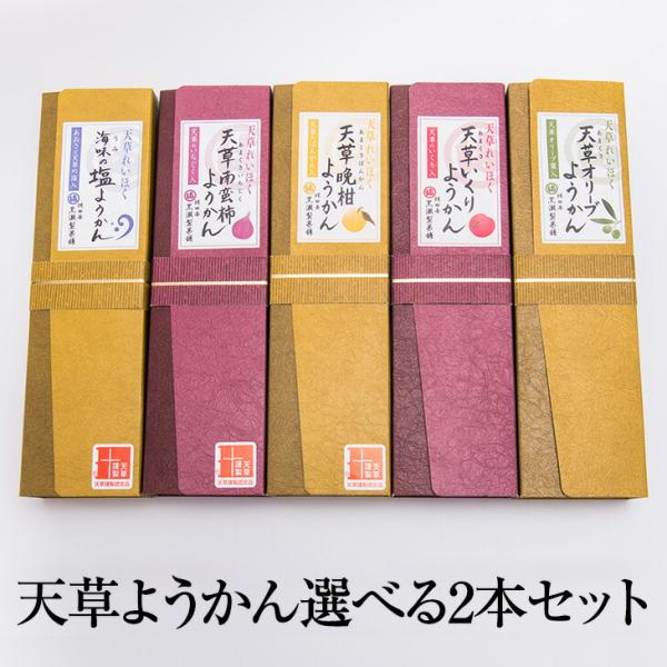 天草ようかん 選べる2本セット 羊羹 羊かん 塩ようかん 天草南蛮柿 完熟いちじく イチジク 無花果...