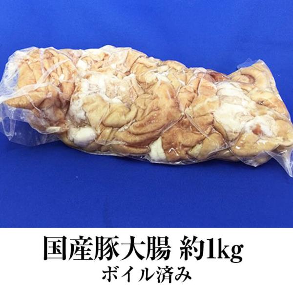 国産豚 大腸 約1kg × 3パック ボイル済 豚肉 ホルモン 豚 焼肉 もつ鍋 もつ煮込み もつ ...