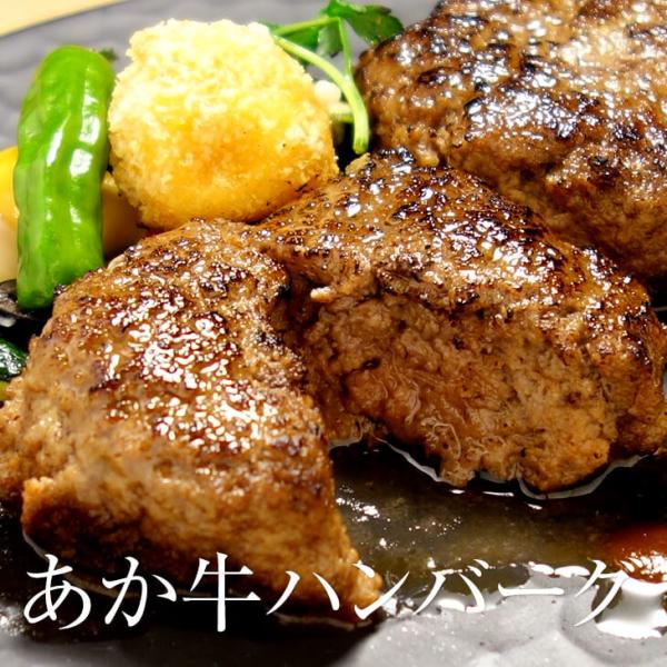 赤牛 あか牛 ハンバーグ 120g × 6個 セット 熊本 お肉 肉 冷凍 高級 国産和牛 和牛 ギ...