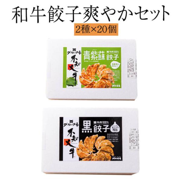 餃子 和牛餃子爽やかセット（黒餃子、青紫蘇餃子）19g×40個 送料無料 ぎょうざ ギョウザ 和牛 ...