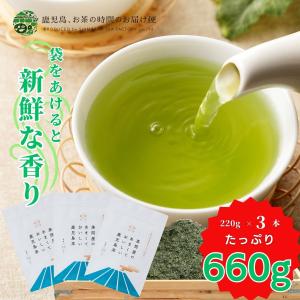 送料無料 訳あり お徳用 ご自宅用 お茶 緑茶 茶葉 日本茶 茶問屋のあまくておいしい鹿児島茶 220ｇ×3　