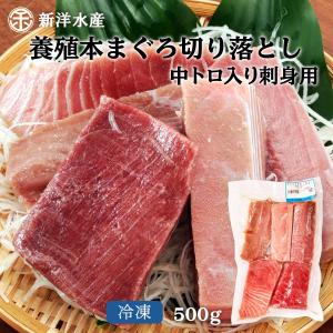 [新洋水産] まぐろ 養殖本まぐろ切り落とし中トロ入り(刺身用) 500g /本マグロ/赤身/養殖/刺身/丼/冷凍/冊/一品/アレンジ/生簀/ まぐろの館 松榮丸｜kagoshimamarine