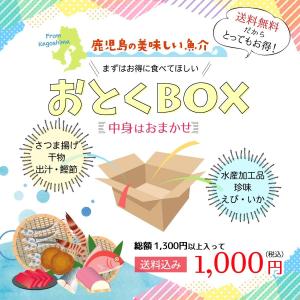 福袋   鹿児島の海の幸 おとくBOX 1,000円 /詰め合わせ //お得/もったいない/食品ロス
