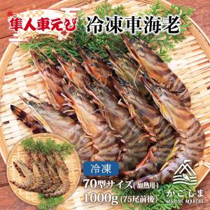 隼人車えび] 海鮮 冷凍車海老30型サイズ（加熱用） 1,000g(35尾前後