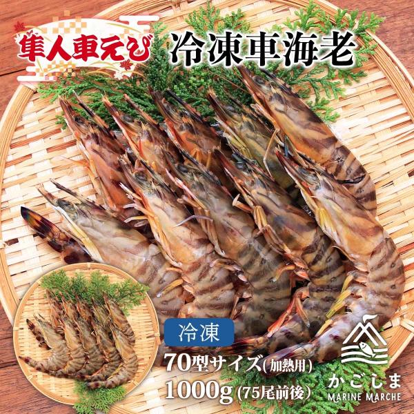 [隼人車えび] 海鮮 冷凍車海老70型サイズ（加熱用） 1,000g(75尾前後)/車エビ/くるまえ...