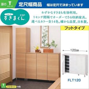 シューズ すきまくん 幅30-45cm 下駄箱 玄関収納 国産 完成品 奥行40cm
