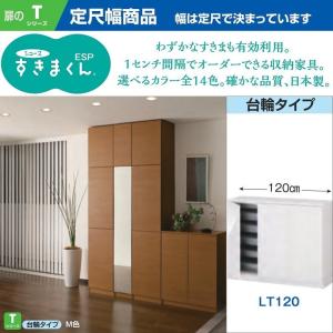 シューズ すきまくん 幅15-30cm 下駄箱 玄関収納 国産 完成品 奥行40cm