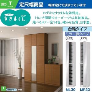 シューズ すきまくん 幅30-45cm 下駄箱 玄関収納 国産 完成品 奥行41cm