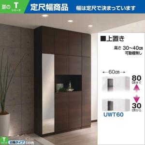 上置 幅31-45cm 高さ61-80cm すきまくん シューズ 壁面家具 玄関収納